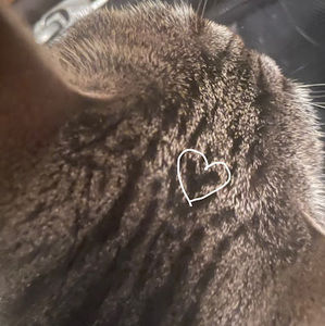 Meet your Posher, Jana